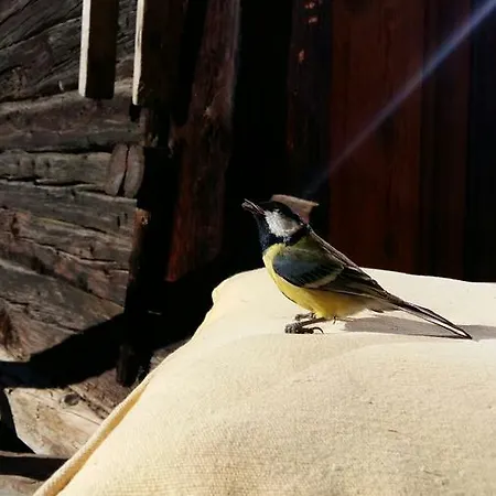 Chez Lilo, Val D'herens * Saint-Martin